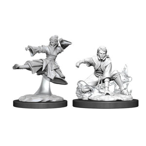 DUNGEONS AND DRAGONS: NOLZUR'S MARVELOUS UNPAINTED MINIATURES -W11-FEMALE HUMAN MONK