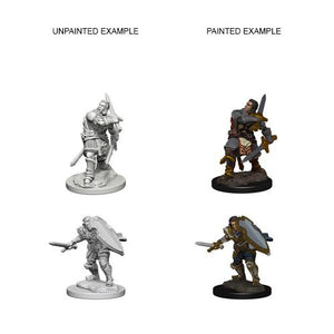 DUNGEONS AND DRAGONS: NOLZUR'S MARVELOUS UNPAINTED MINIATURES -W3-MALE HUMAN PALADIN