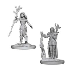 DUNGEONS AND DRAGONS: NOLZUR'S MARVELOUS UNPAINTED MINIATURES -W2-FEMALE HUMAN DRUID