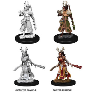 DUNGEONS AND DRAGONS: NOLZUR'S MARVELOUS UNPAINTED MINIATURES -W9-FEMALE HUMAN DRUID