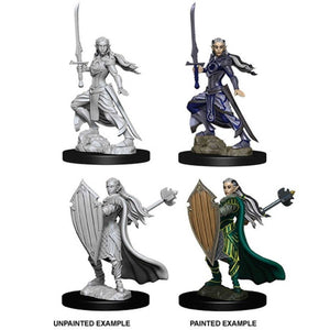 DUNGEONS AND DRAGONS: NOLZUR'S MARVELOUS UNPAINTED MINIATURES -W9-FEMALE ELF PALADIN
