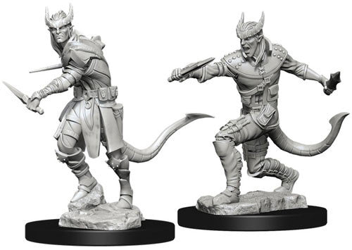 DUNGEONS AND DRAGONS: NOLZUR'S MARVELOUS UNPAINTED MINIATURES -W5-MALE TIEFLING ROGUE